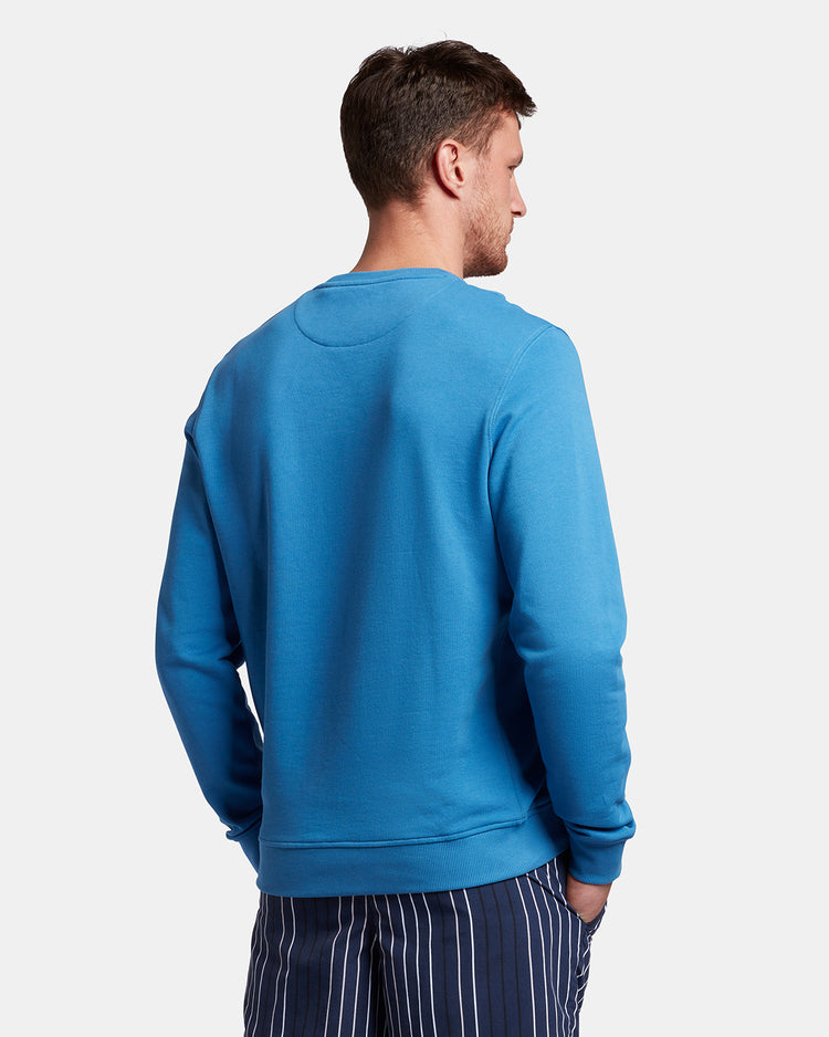 クルートレーナー