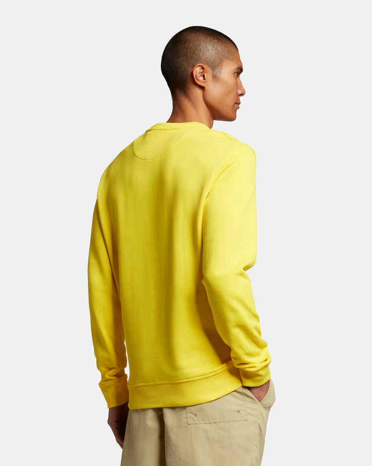 クルートレーナー