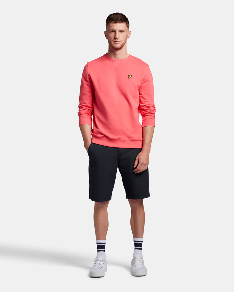 クルートレーナー