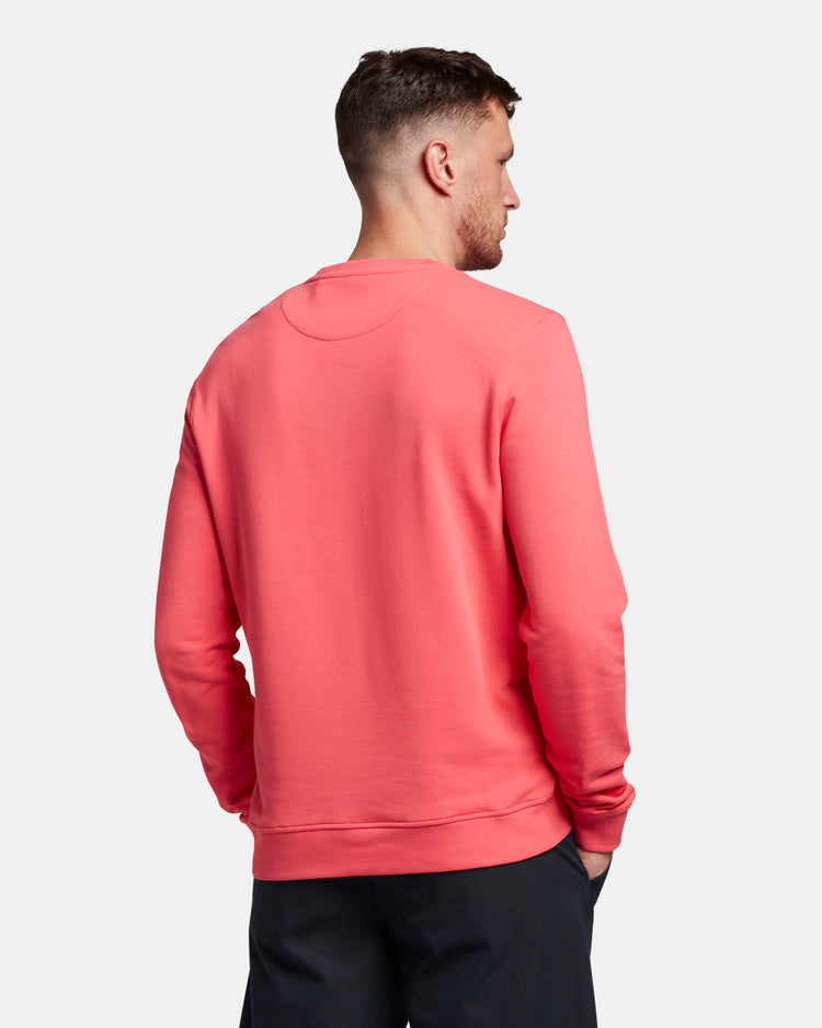 クルートレーナー