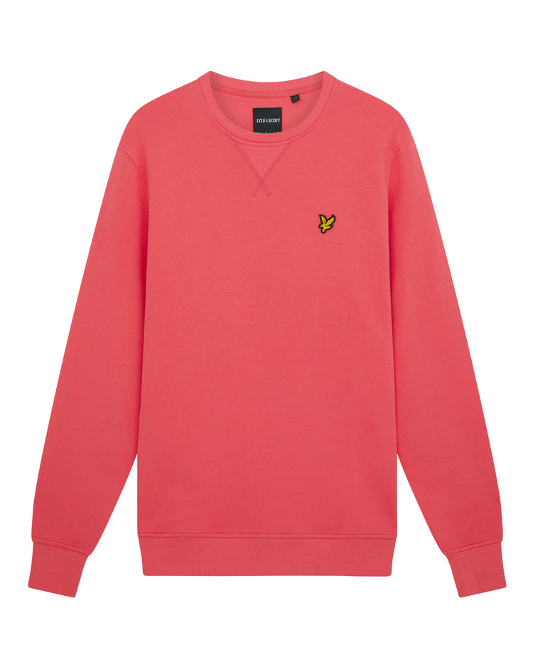 クルートレーナー